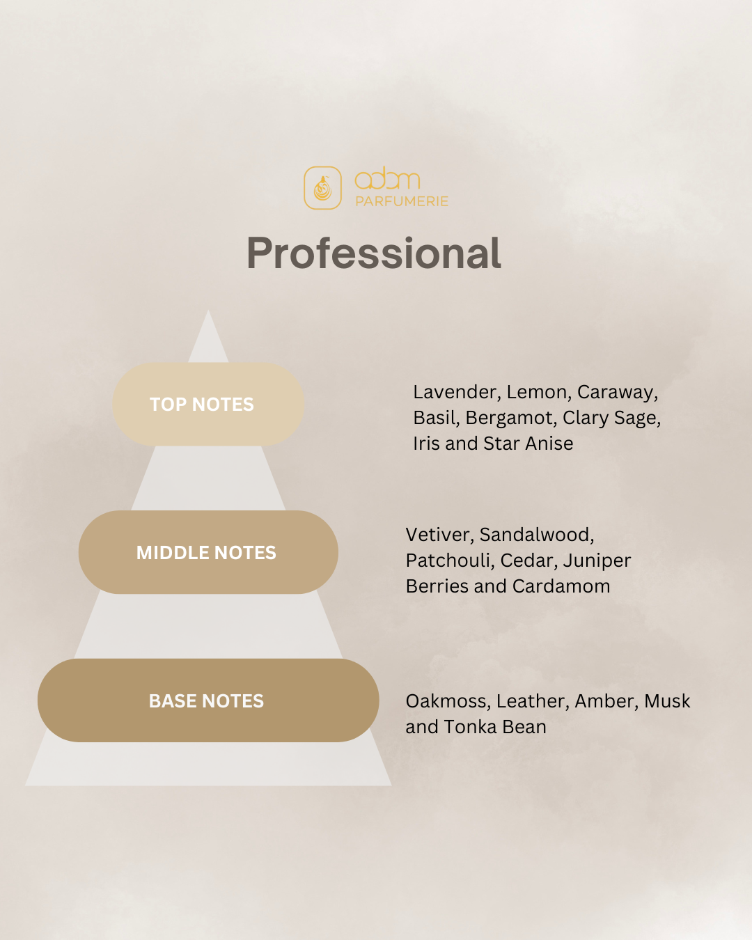 Professional / H