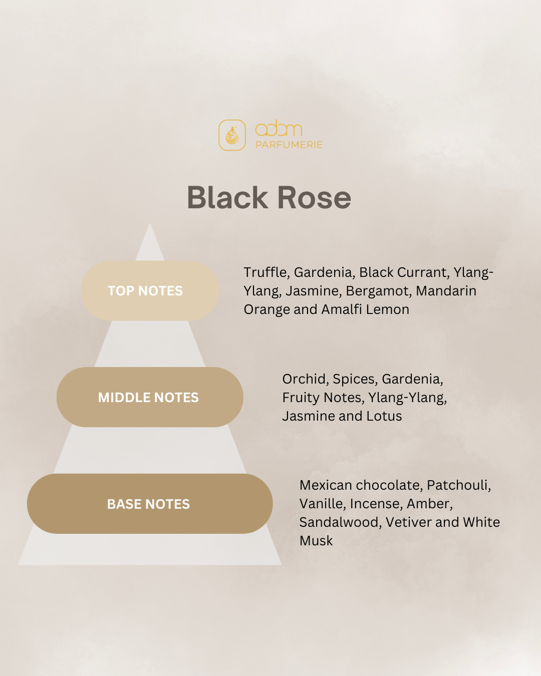 Black Rose / H