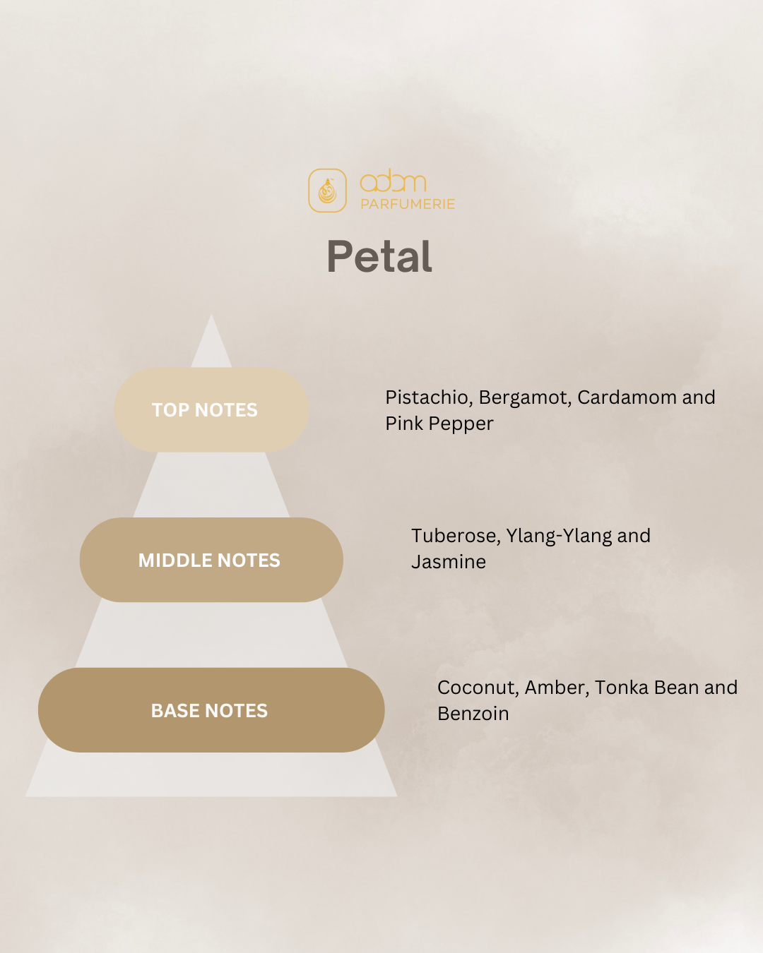 Petal / H