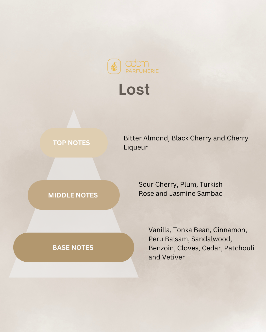 Lost / H