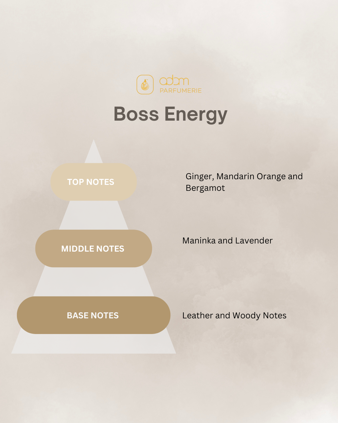 Boss Energy / H