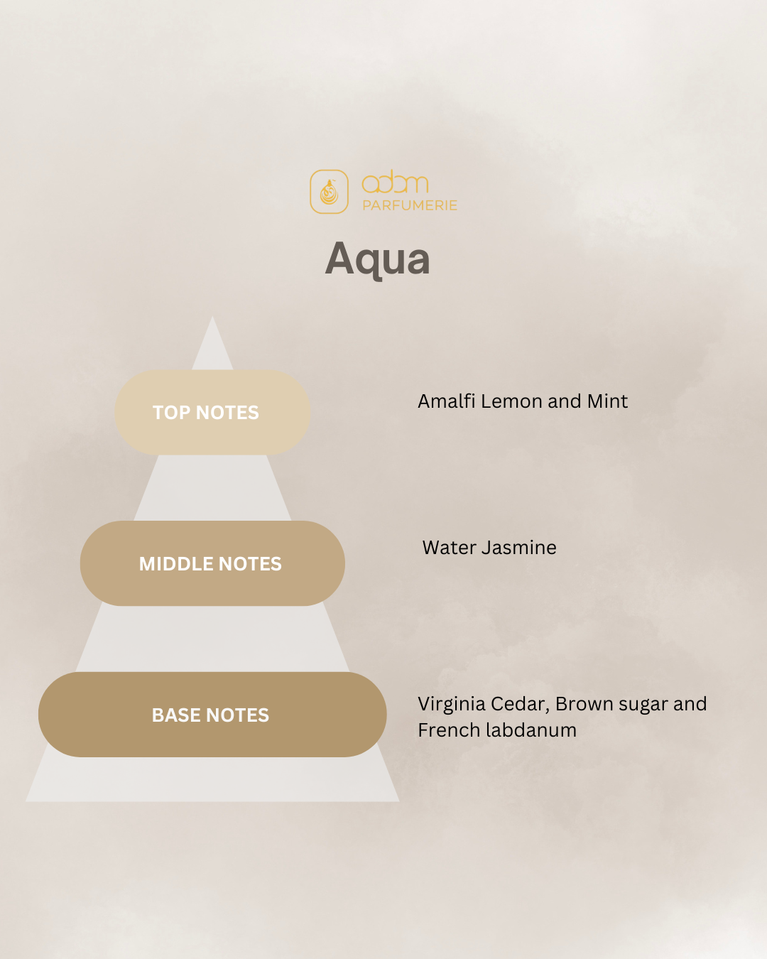 Aqua / D