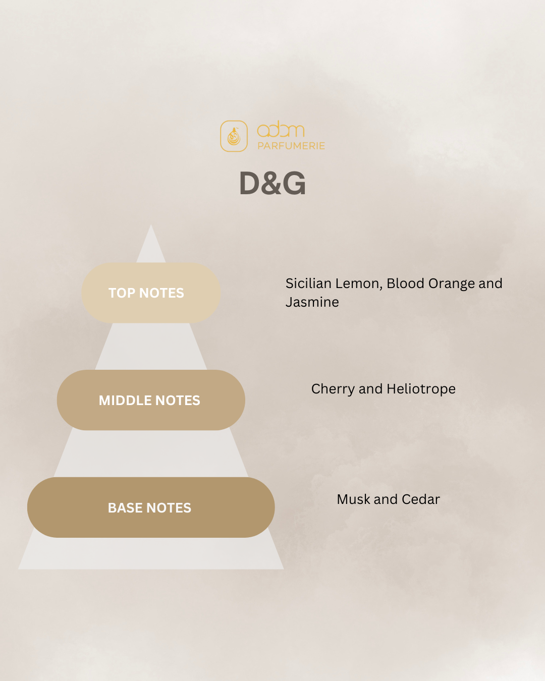 D&G / D