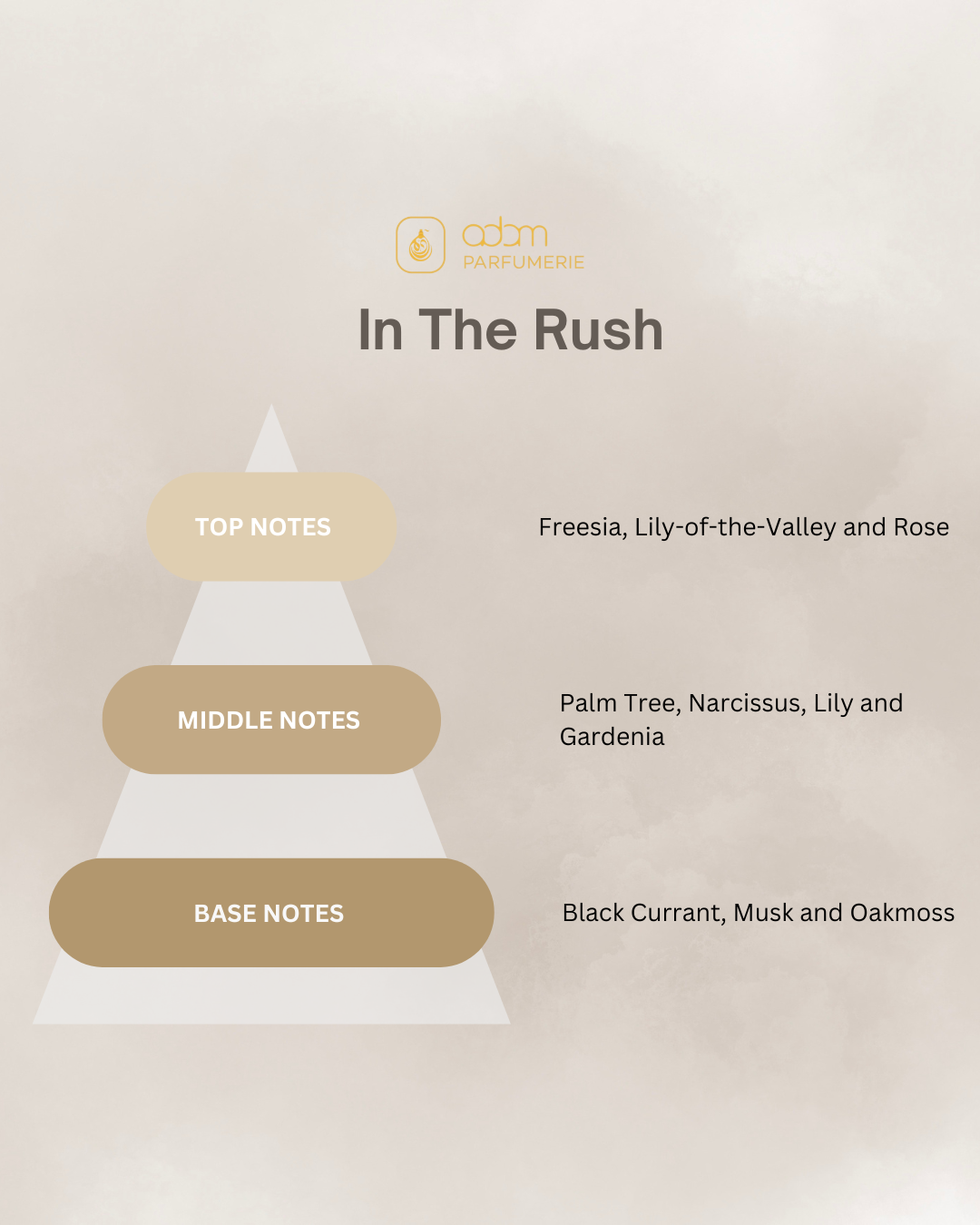 In The Rush / D
