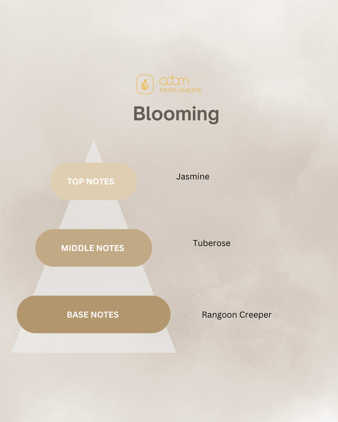 Blooming / D