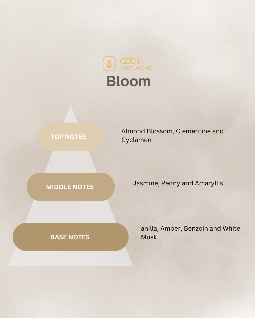 Bloom / D