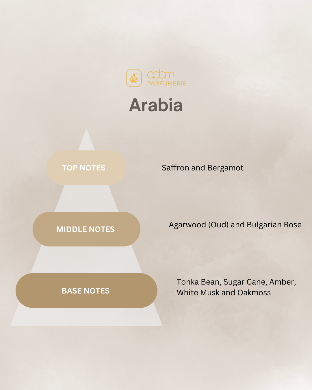 Arabia / U