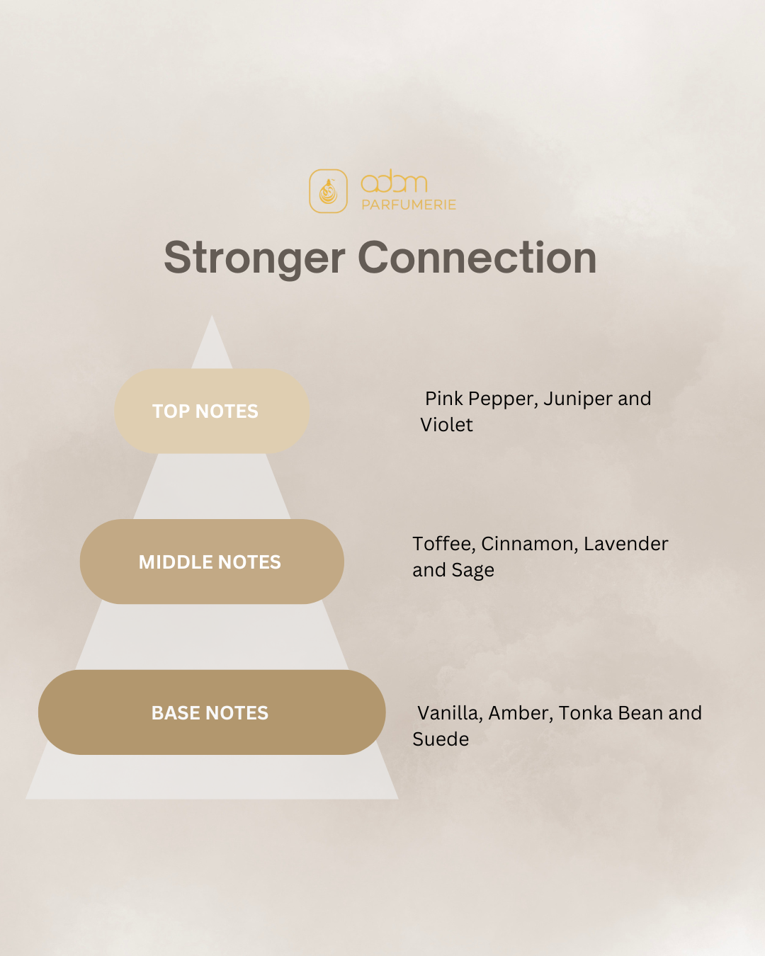 Strong Connection / H