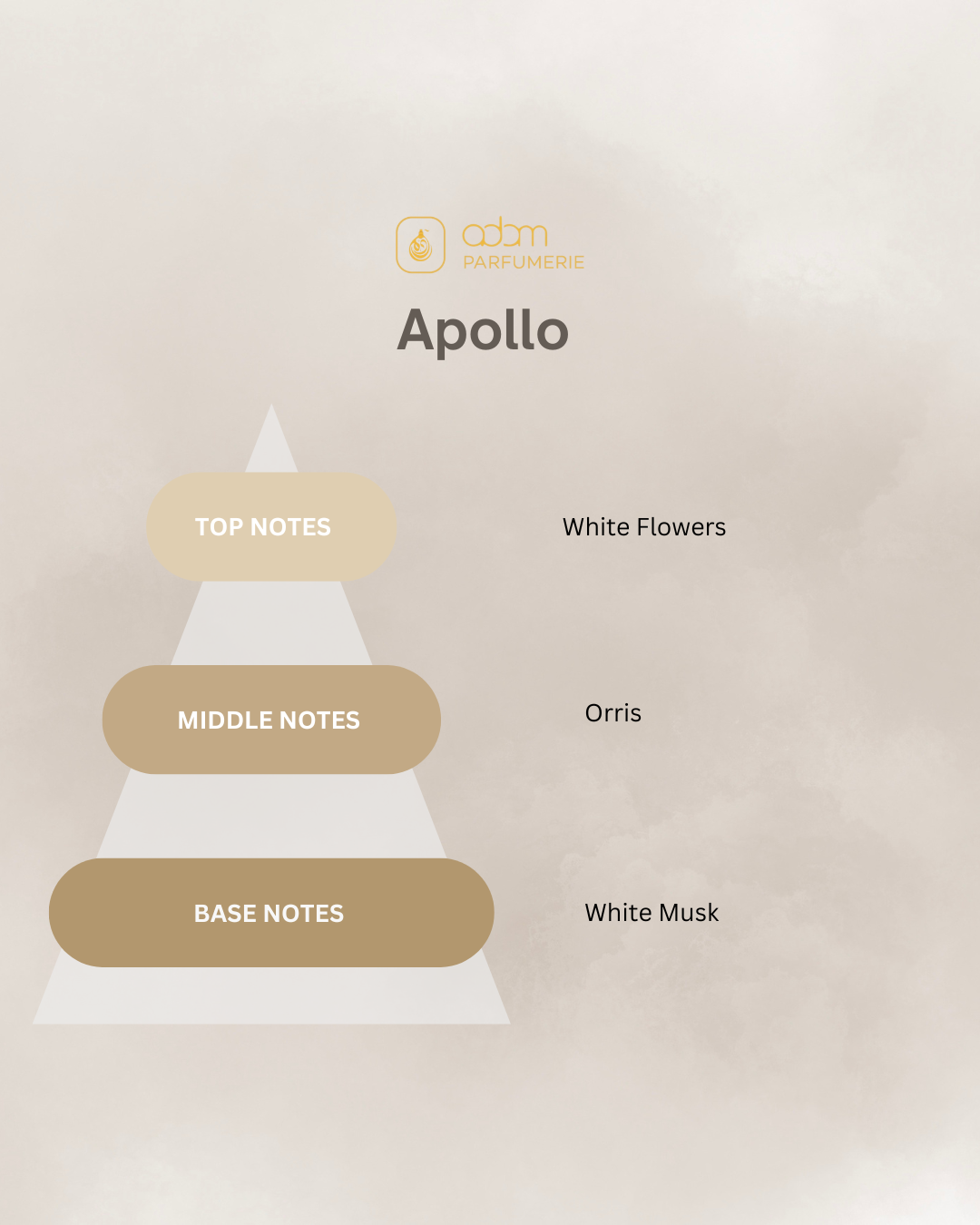 Apollo / U