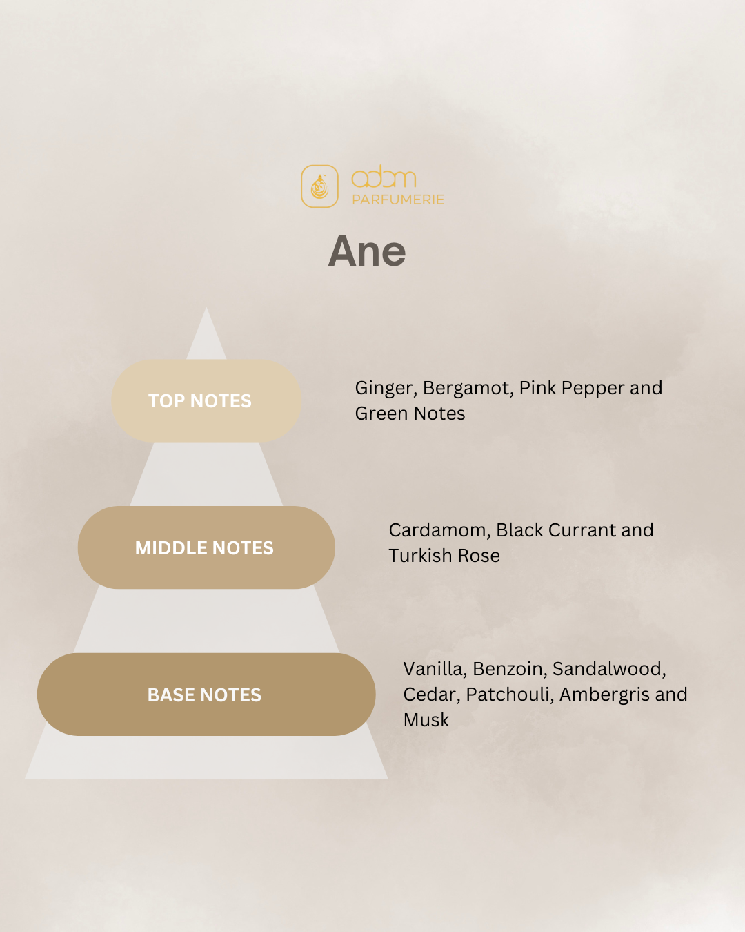 Ane / U