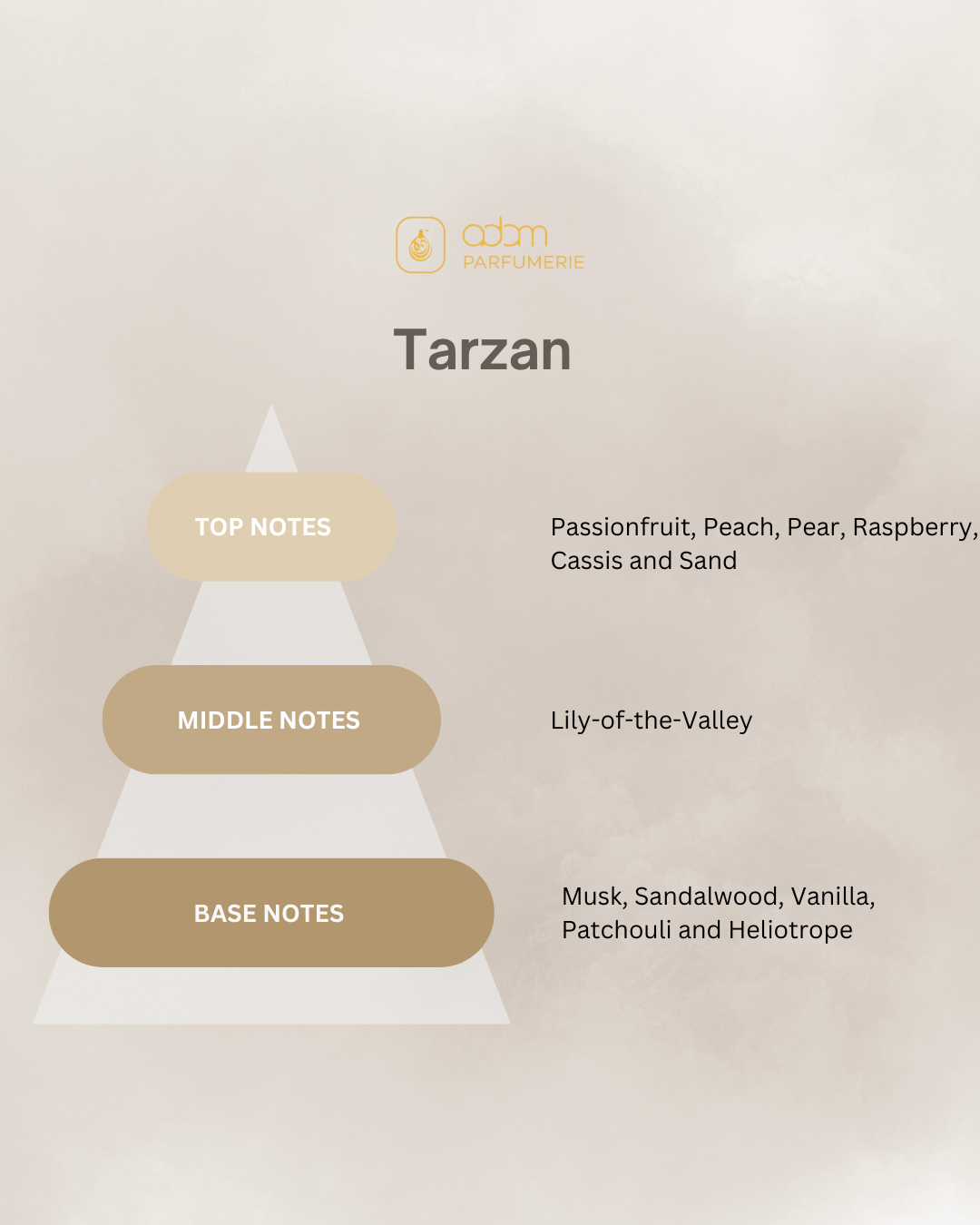 Tarzan / H