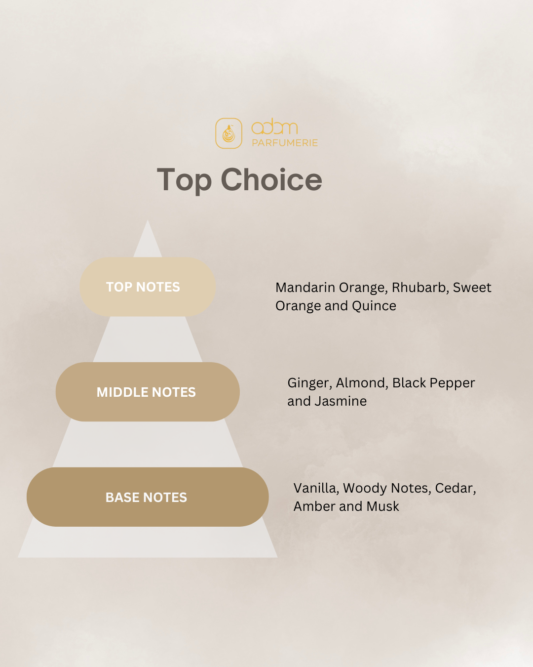 Top Choice / H