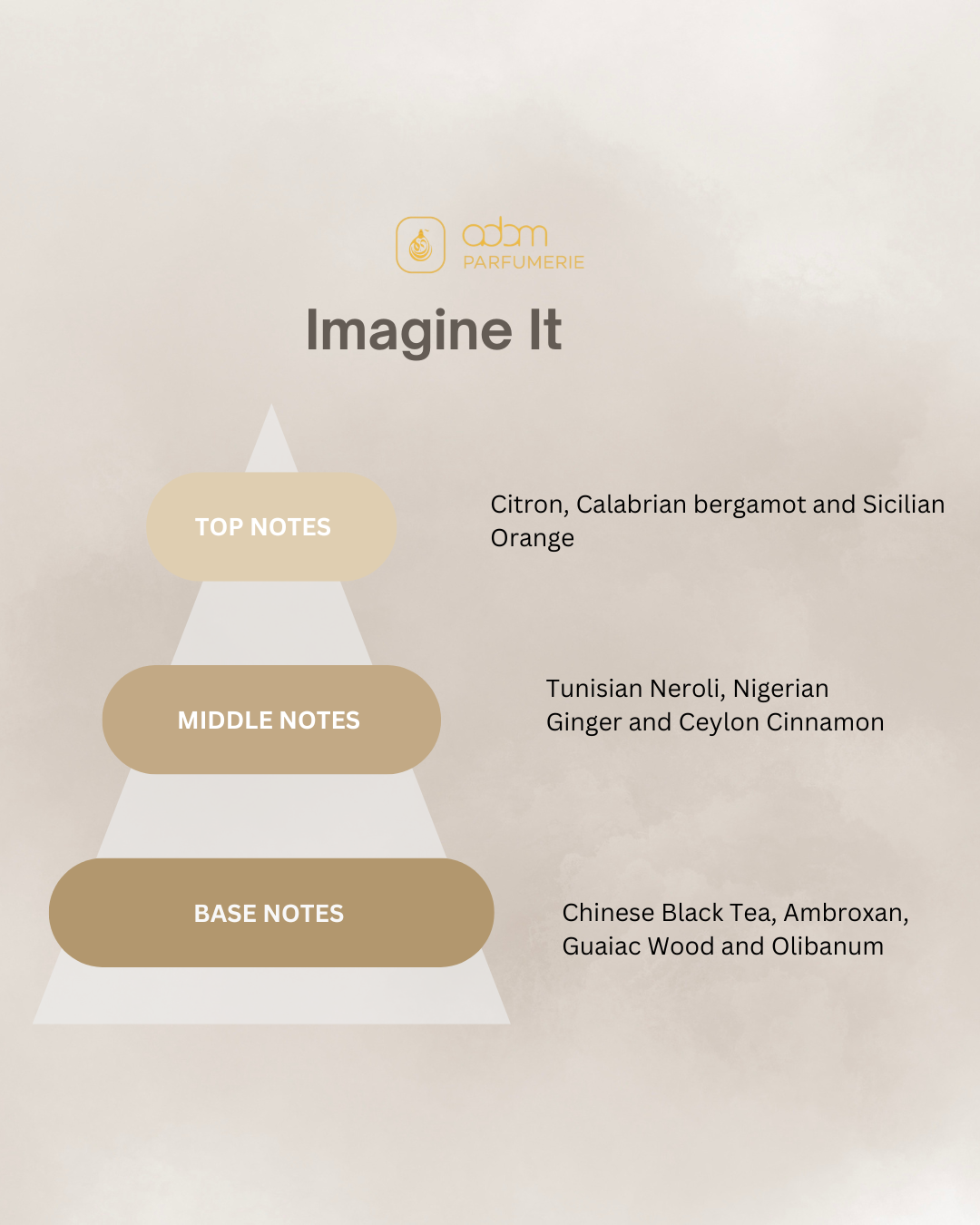 Imagine It / H