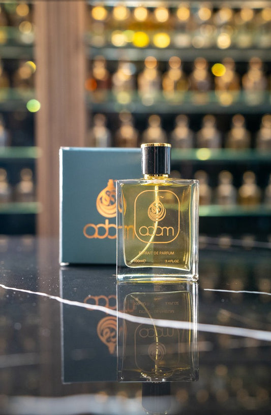 Arabia / U