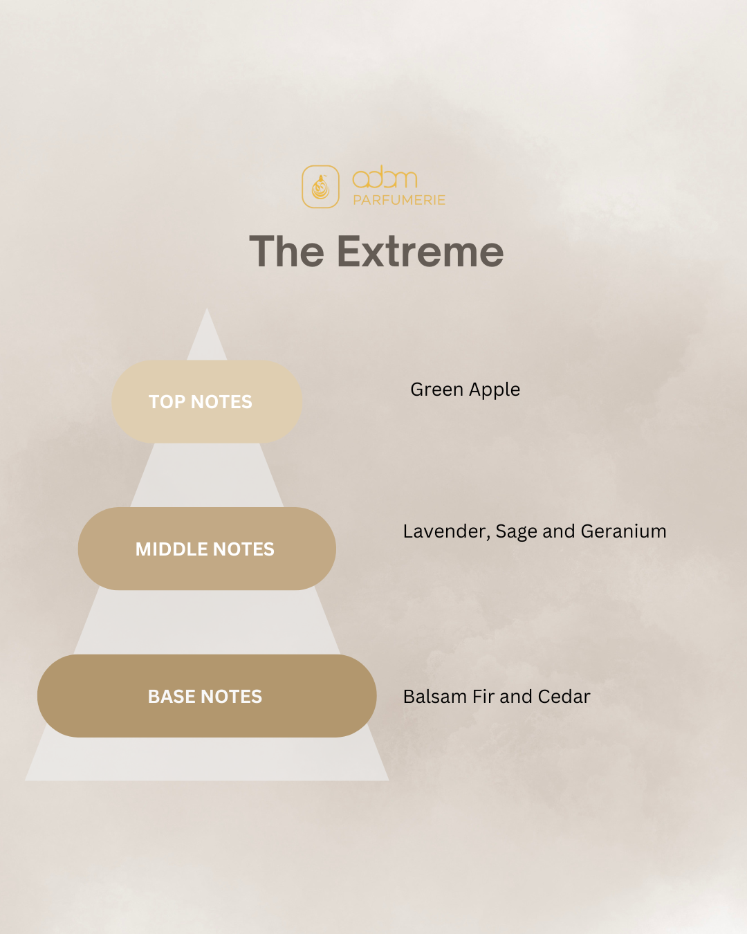 The Extreme / H