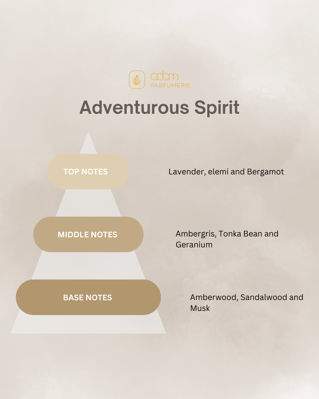 Adventurous Spirit / H