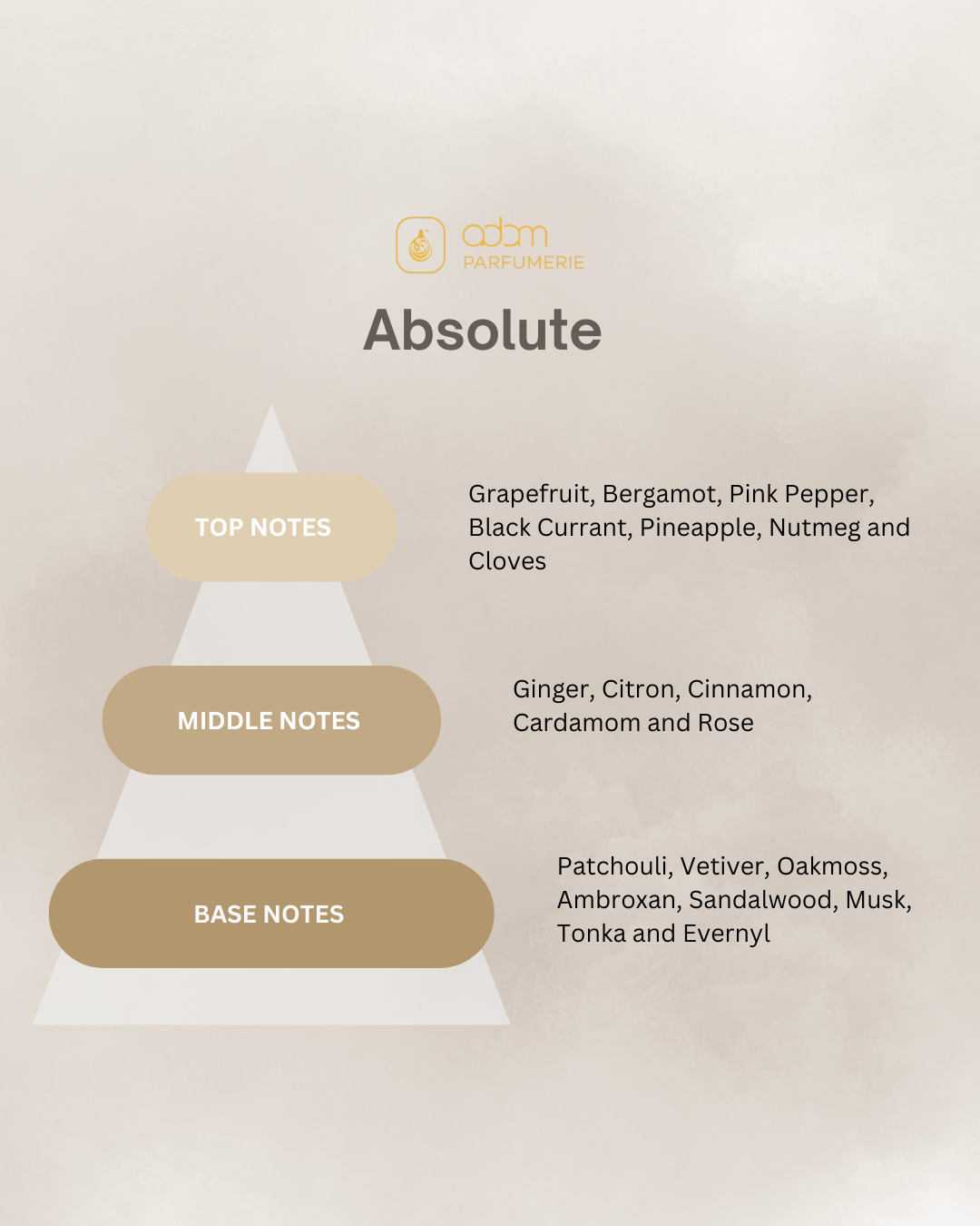 Absolute / H