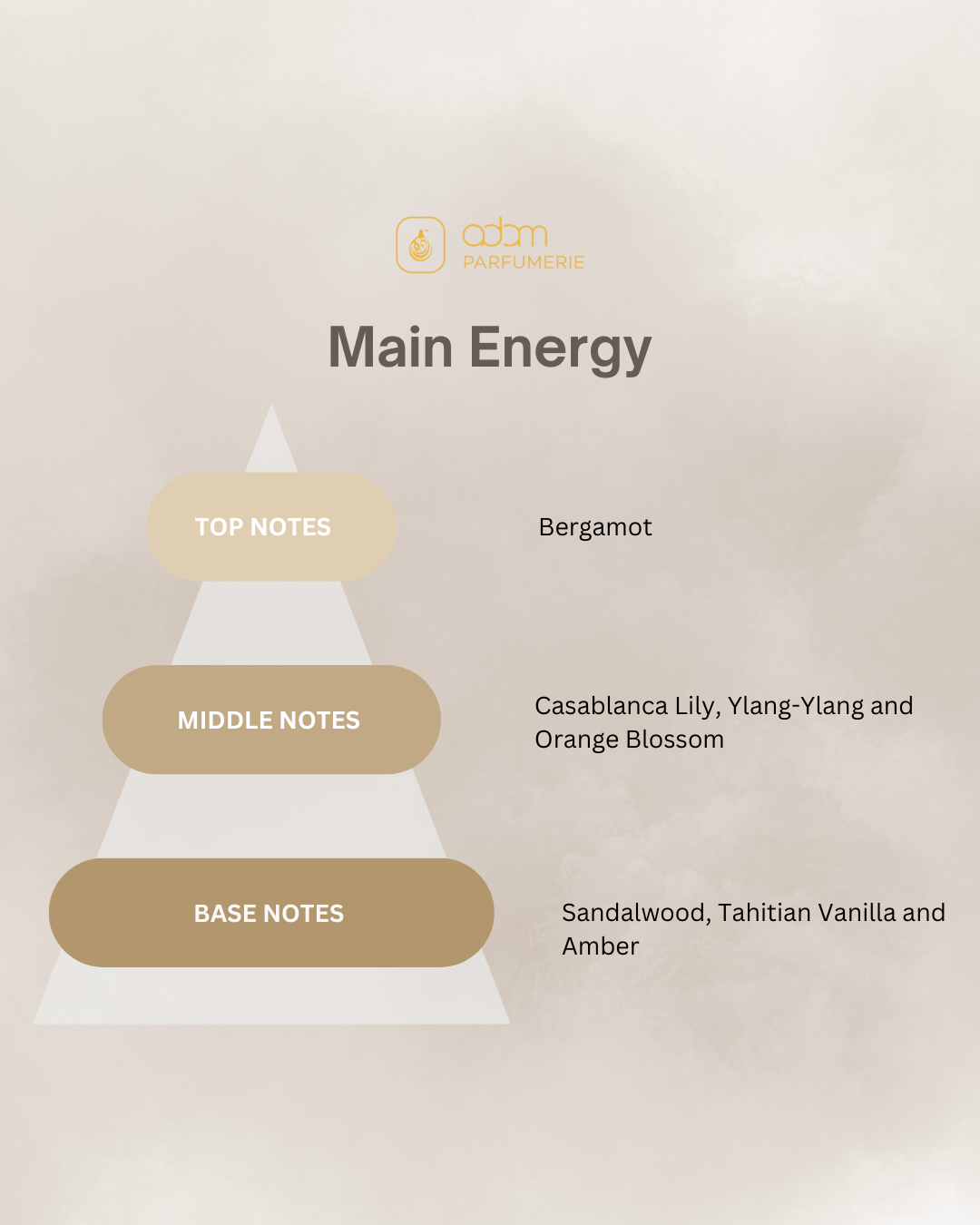 Main Energy / D