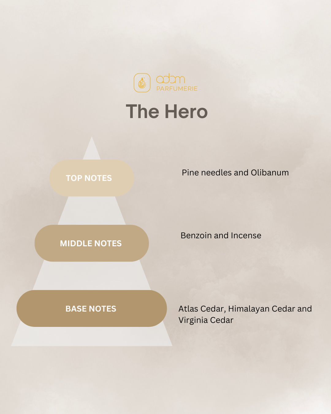 The Hero / H