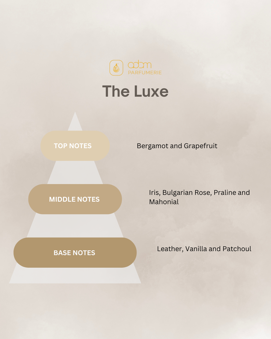 The Luxe / D