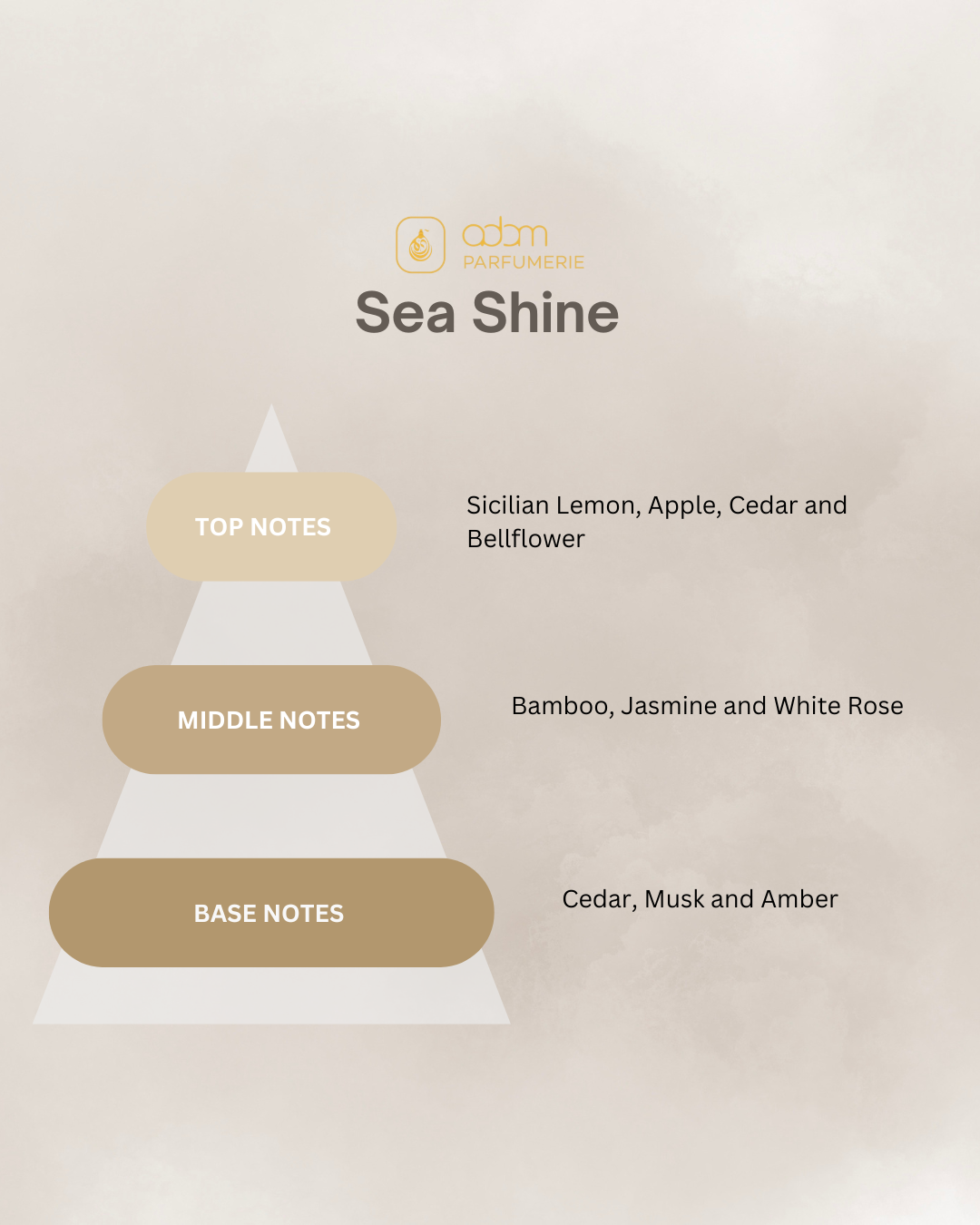 Sea Shine / D