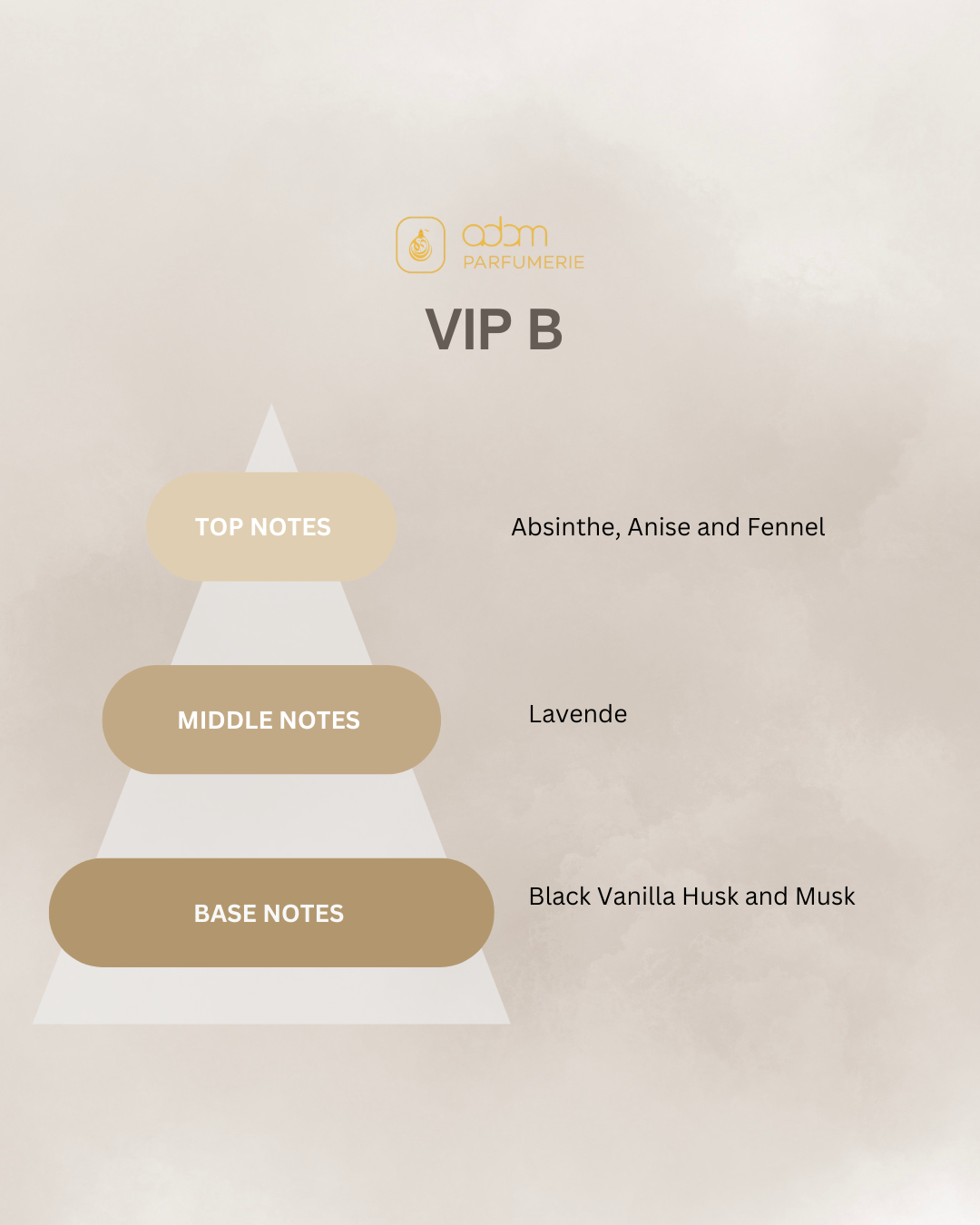 VIP B / H