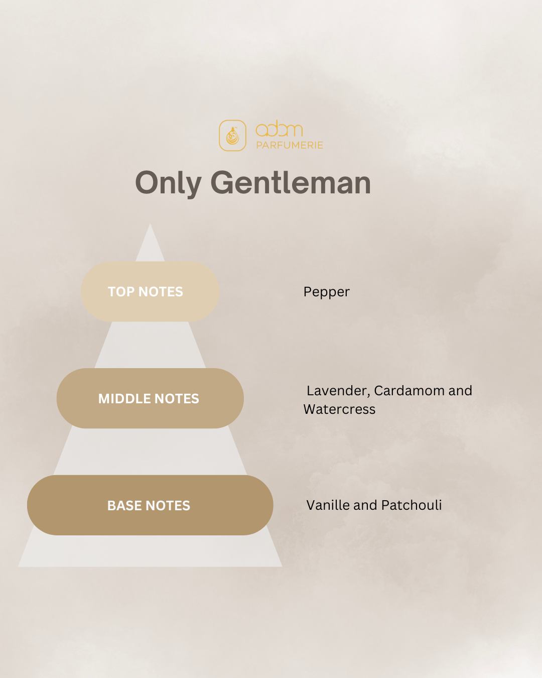 Only Gentleman / H
