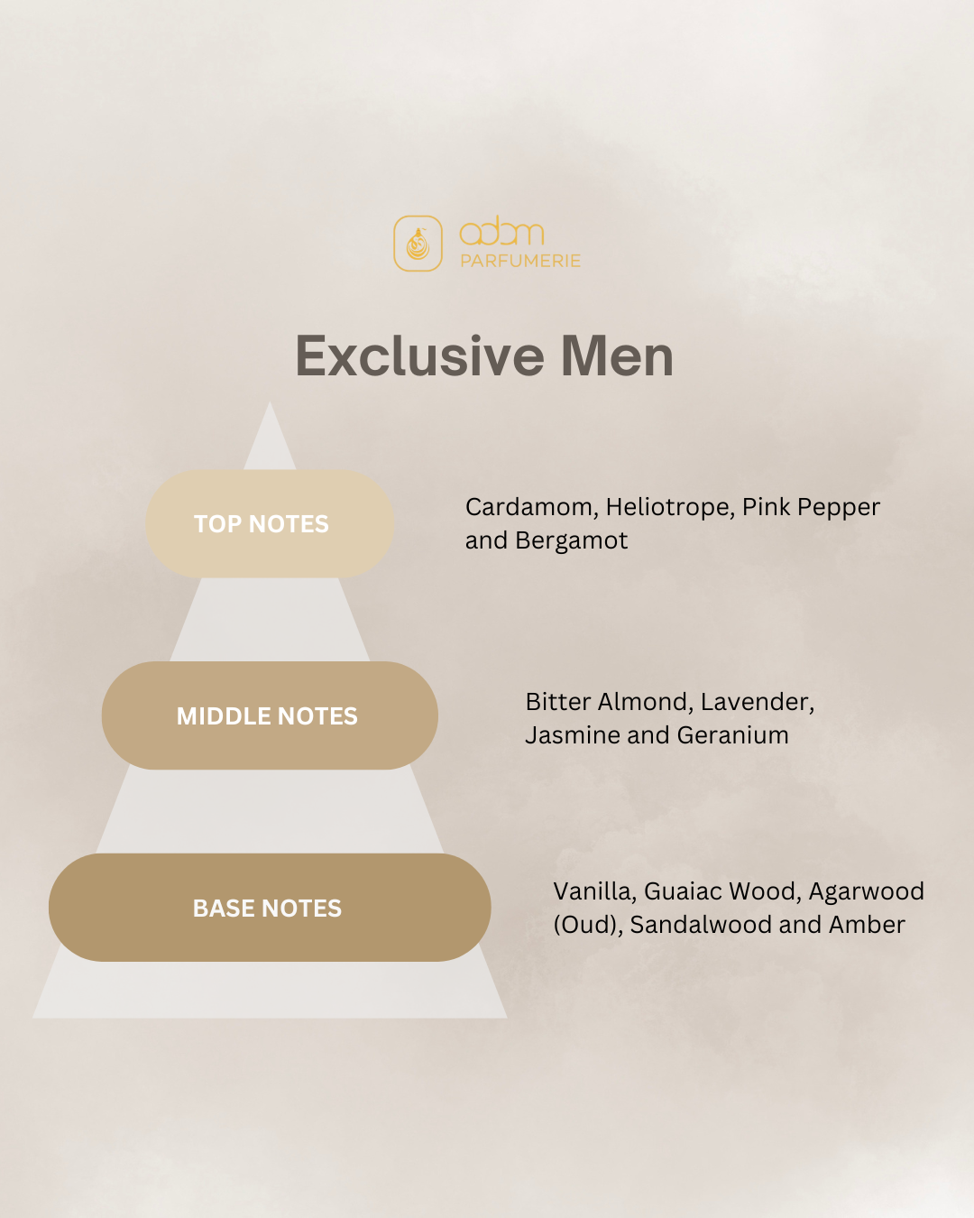 Exlusive Men / H